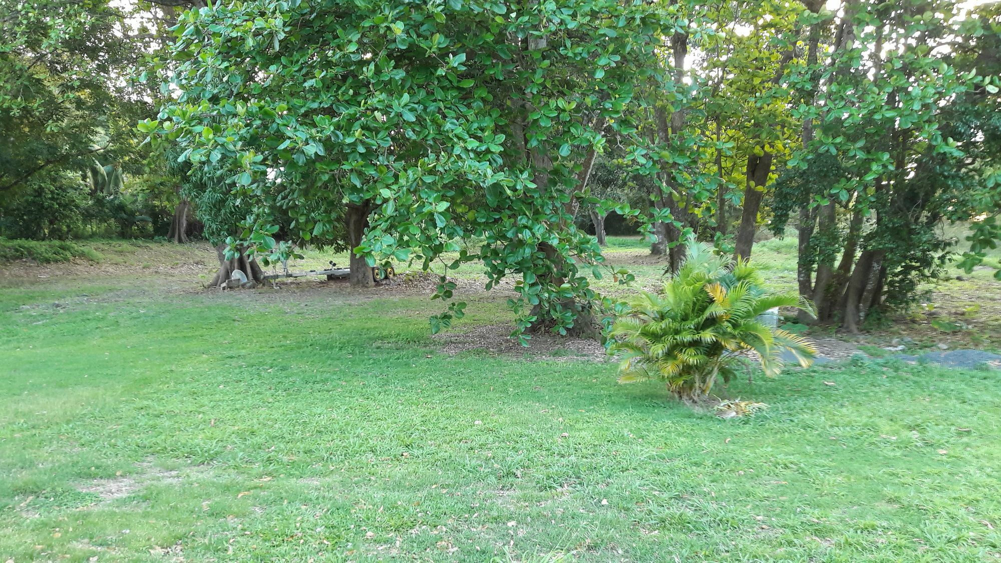 Bungalow Papaye Pointe-Noire Ngoại thất bức ảnh